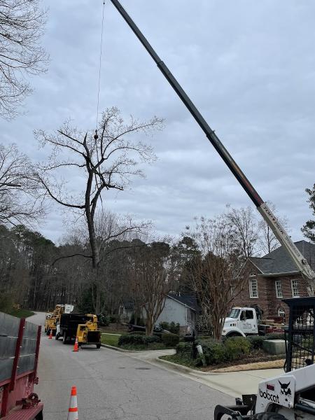 Fonville Tree Service