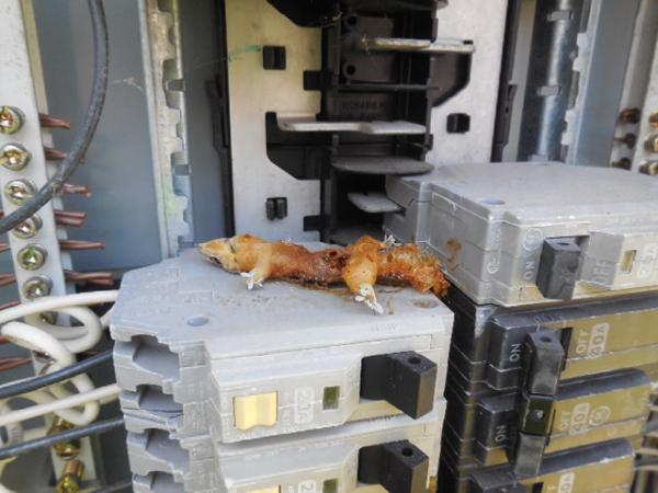 Over & Under Property Inspection