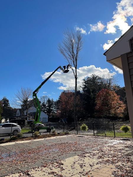 Beaver Tree Service