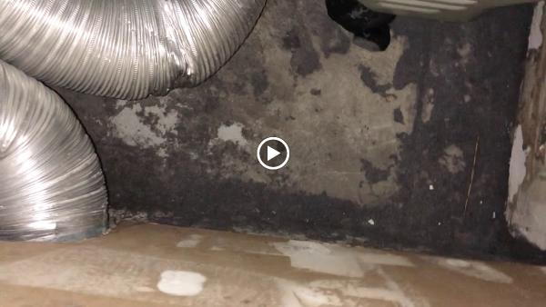 Cal Duct Cleaning