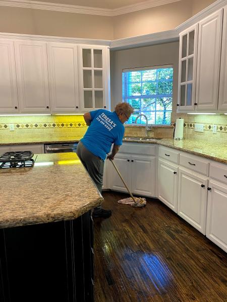 Teresa's Housecleaning