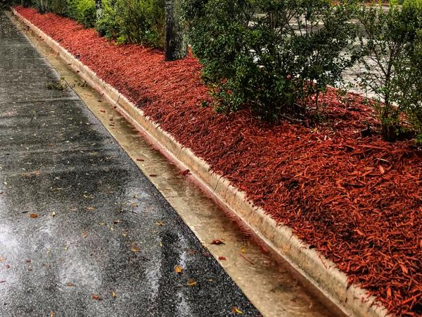 Southern Coastal Property Maintenance