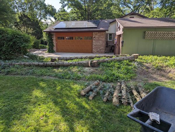 Arbor Master Tree Service Inc