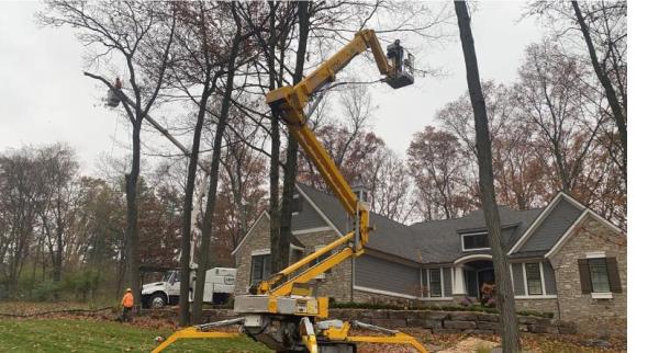 Arbor Master Tree Service Inc