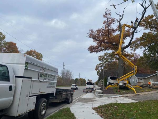 Arbor Master Tree Service Inc