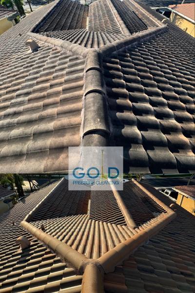 Gold Pressure Cleaning