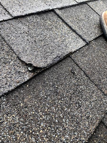 Promar Exteriors