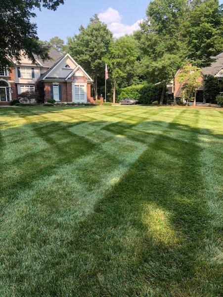 Carolina Turf Lawn and Landscape