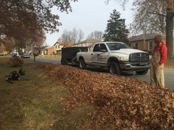 County Wide Lawn & Landscaping LLC