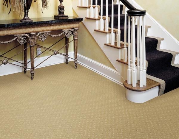 Quik-Dry Inc. Carpet Cleaning