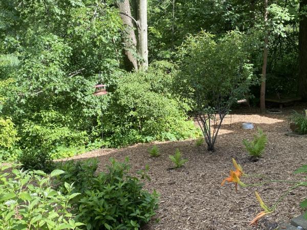 Barkman Landscaping Inc