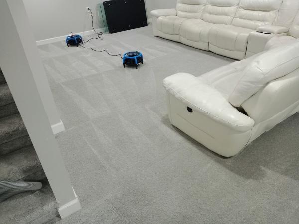Proper Carpet Cleaning