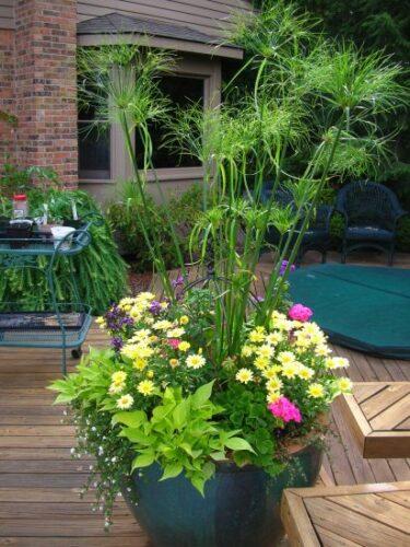 Berns Landscaping Services