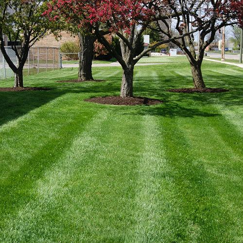 Berns Landscaping Services