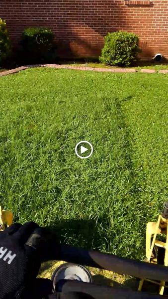 Cedar Hill Lawn Maintenance