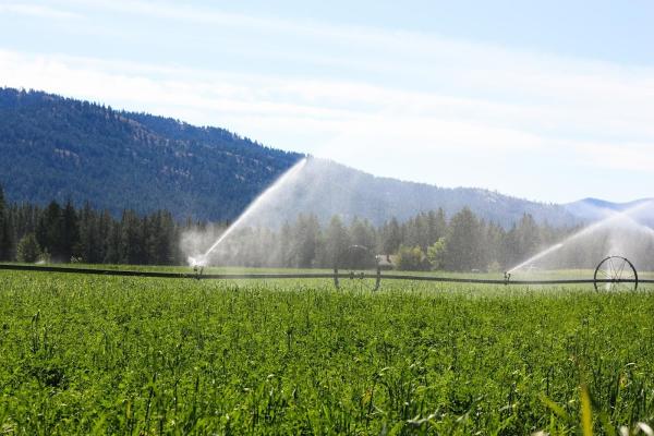 Salem Oregon Lawn Care