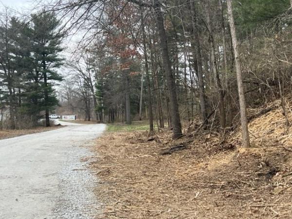 Marlow Brothers Land Clearing