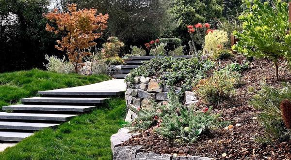 Naturewalk Landscapes Design & Construction