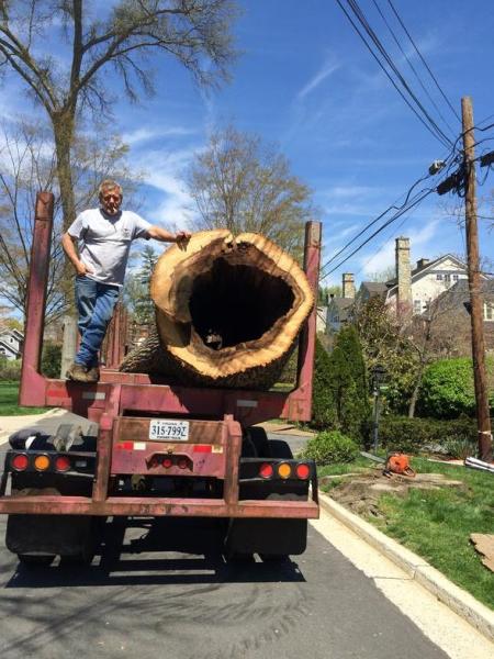 Butler Tree Service