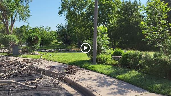 Liberty Tree Service