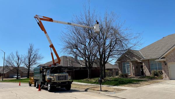 Stout Tree Service LLC