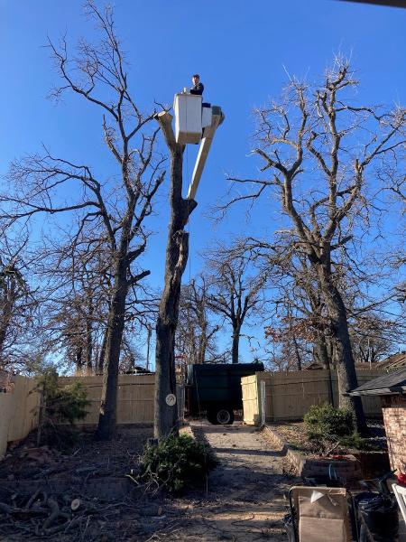 Stout Tree Service LLC