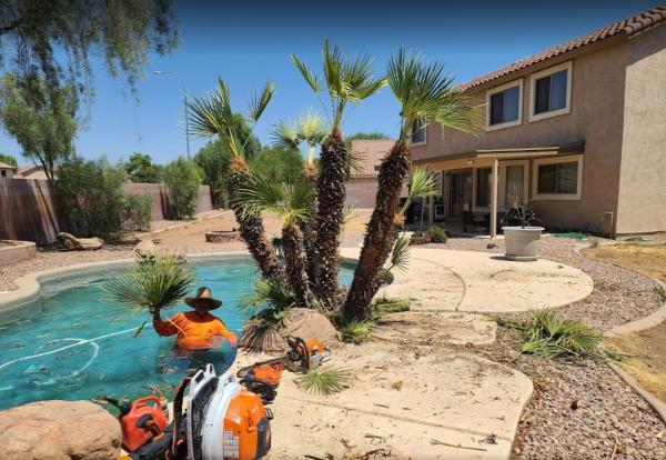 Valentine Landscaping