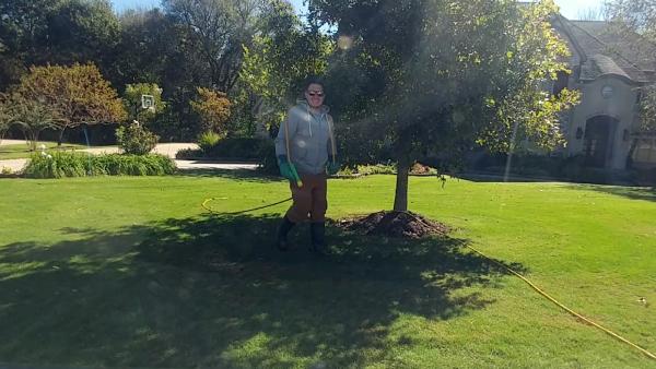 Progro Lawns