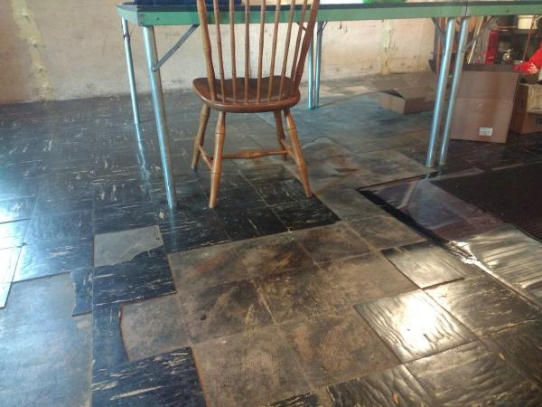 Bluestone Environmental