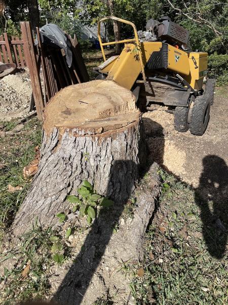Stump King LLC