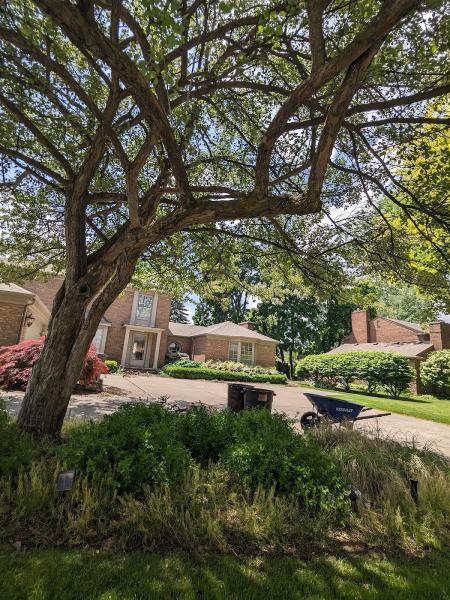 Alvarez Brothers Landscaping