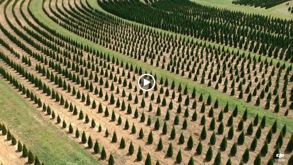 Yaardvark Landscape Management