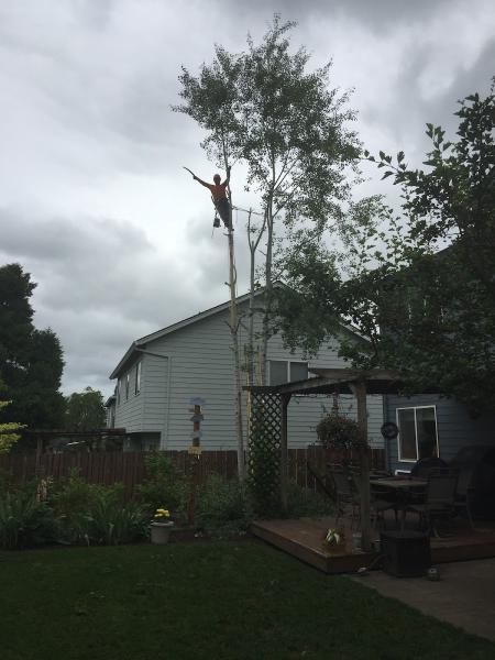 Second 2 None Tree Service