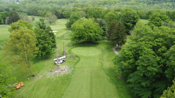 Mays Tree Service