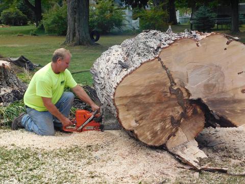 Mays Tree Service