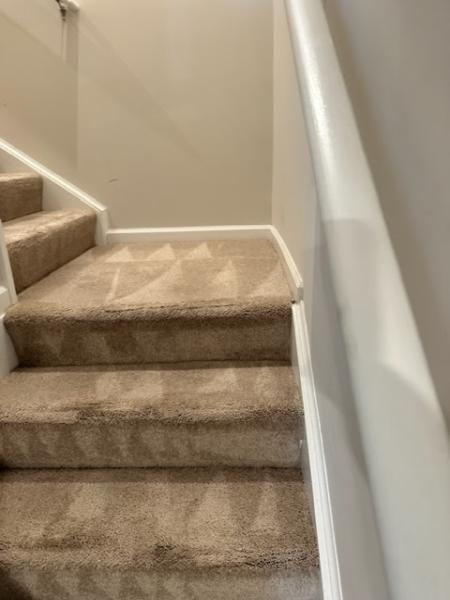 Hampton Carpet Cleaning