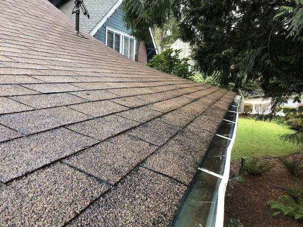 Better Window Cleaning Seattle