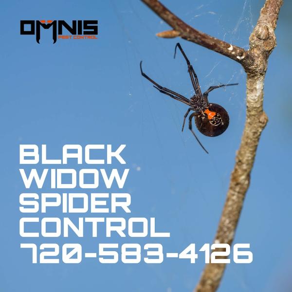 Omnis Pest Control