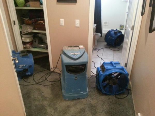 Quality Disaster Cleanup