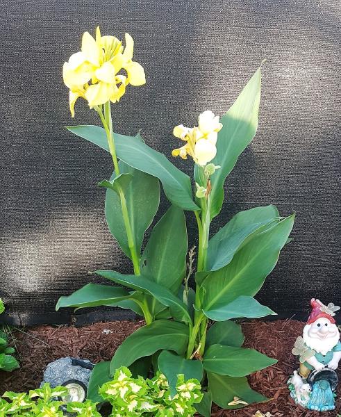 A&J Landscape Services LLC