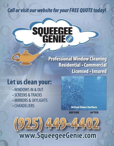 Squeegee Genie Professional Window Cleaning