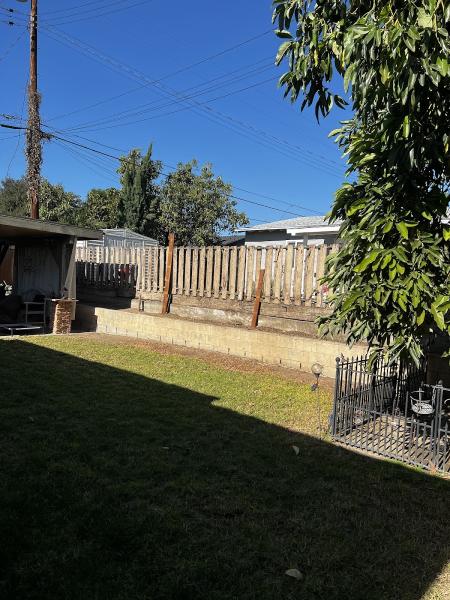 Citywide Tree Service