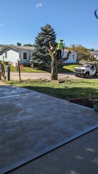 Kolton Construction & Land Management