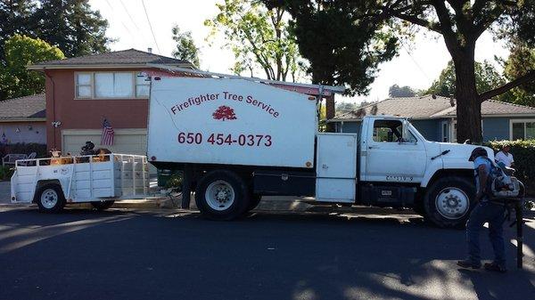 Firefighter Tree Service