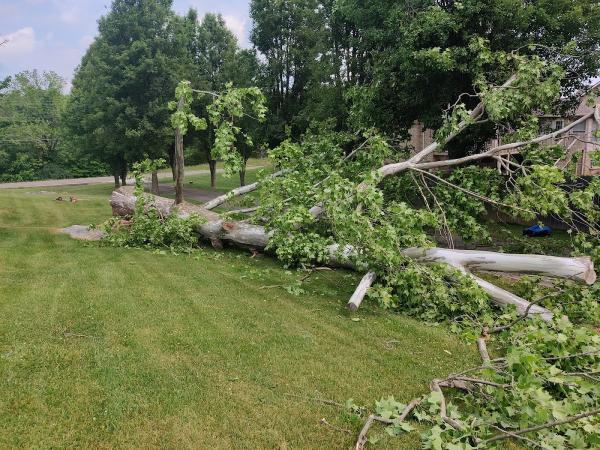 Cherokee Mountain Tree Service
