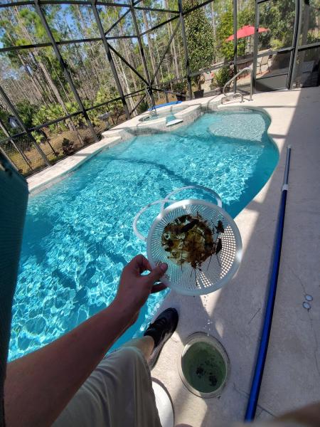 Florida's Finest Pools L.l.c.