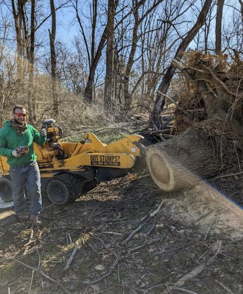 Grind Time Tree Service