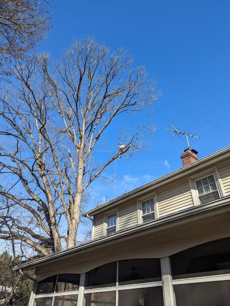 Grind Time Tree Service