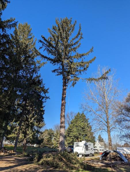 Grind Time Tree Service