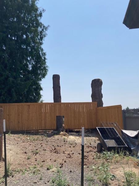 Pacific Northwest Arborists